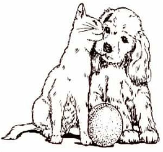 TLC Pet Lodge's Photo