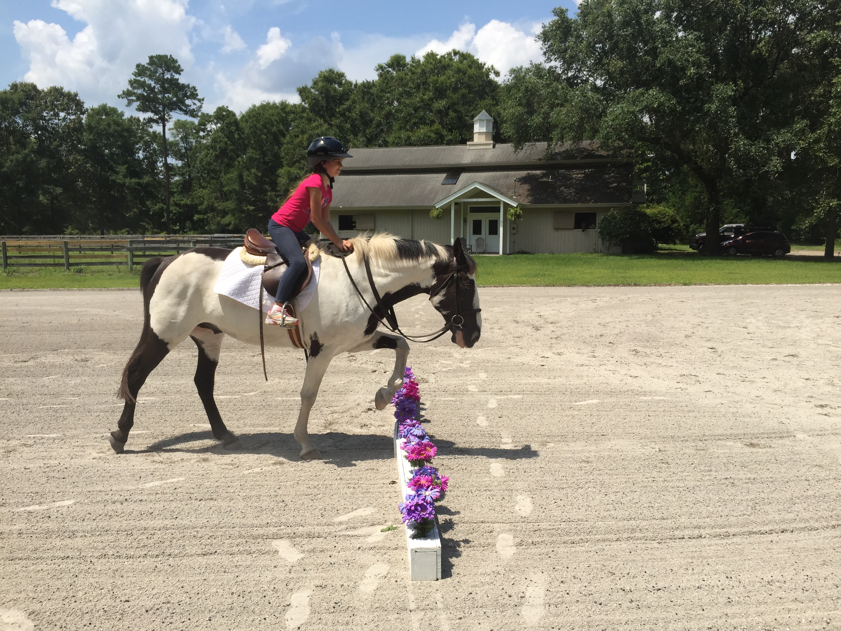 Low Country Riding Academy's Photo