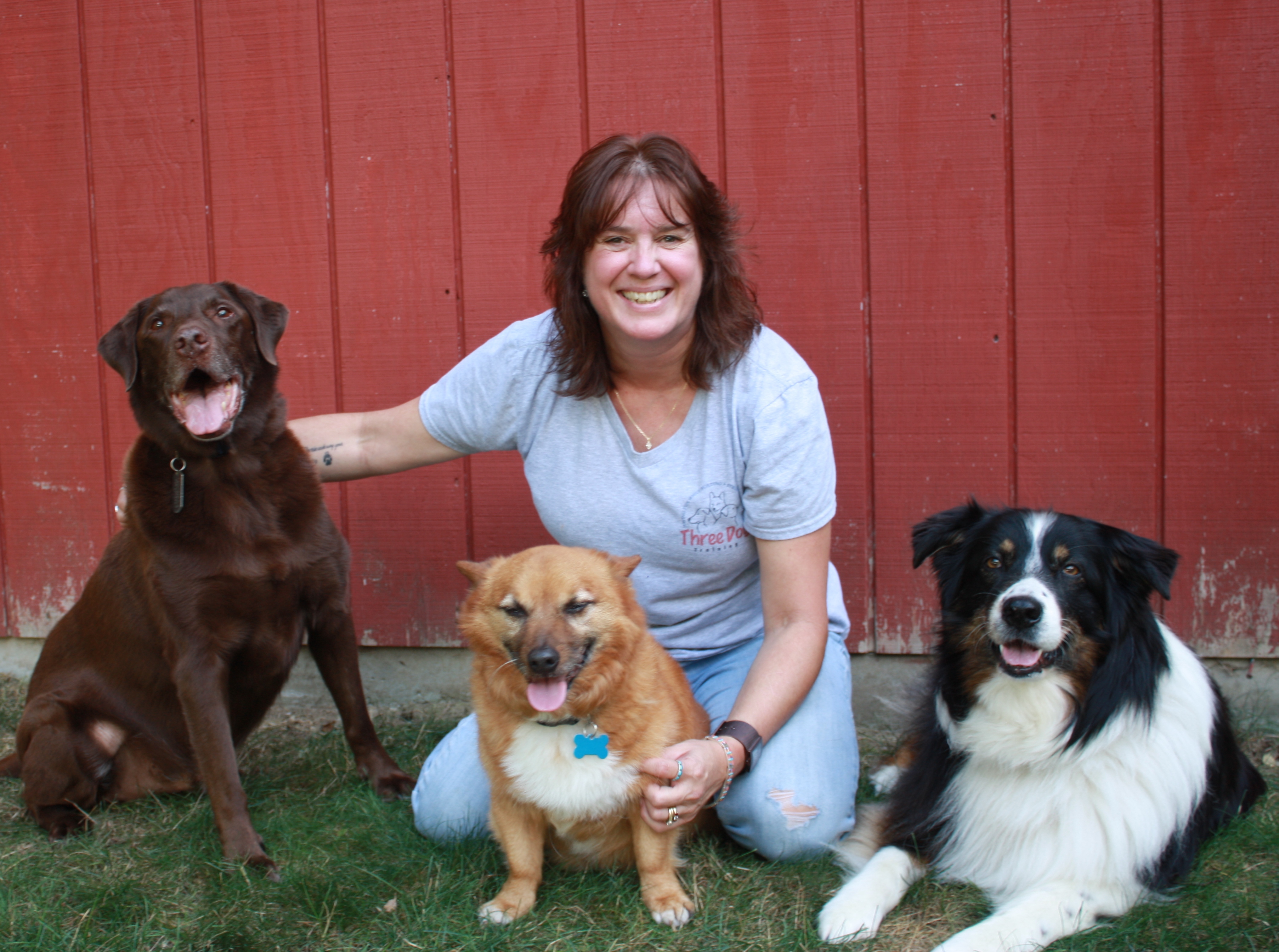 Three Dog Training's Photo