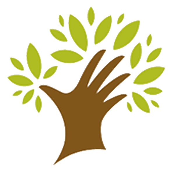 Live & Learn Childcare + Preschool Logo
