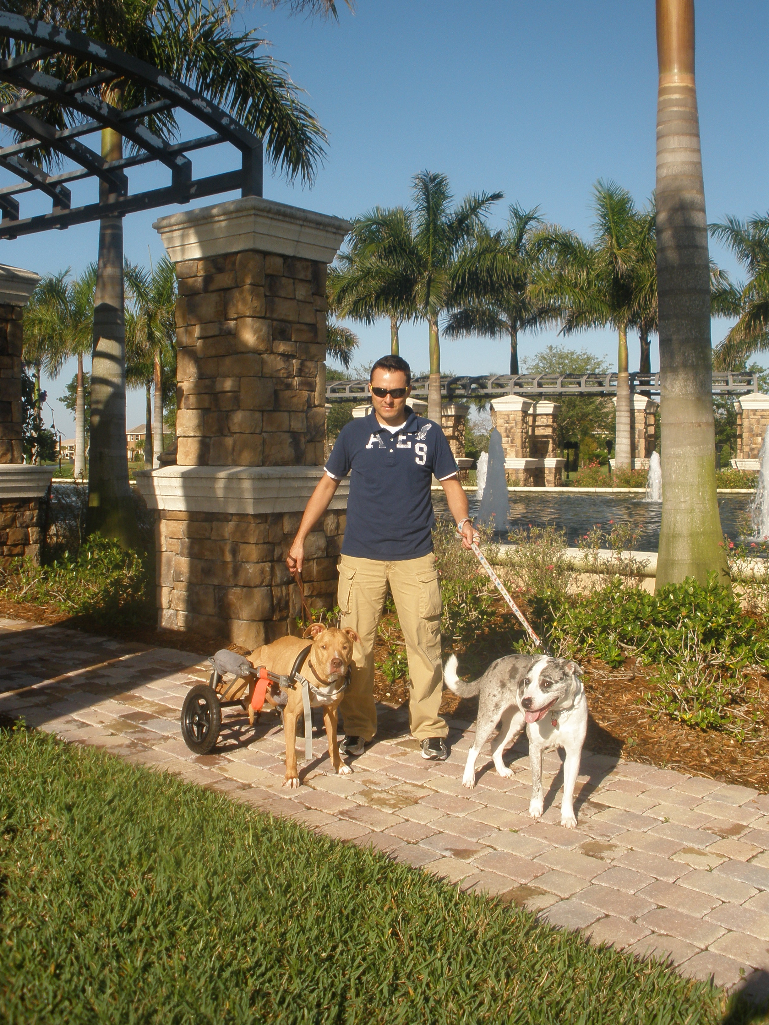 Aid 4 Pet Owners, Corp.'s Photo