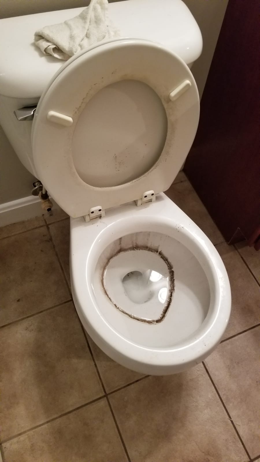 Marry House Clean's Photo