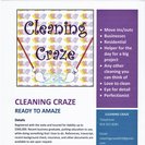 Cleaning Craze