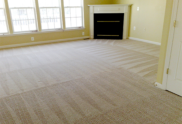 Elaine's Cleaning Service's Photo