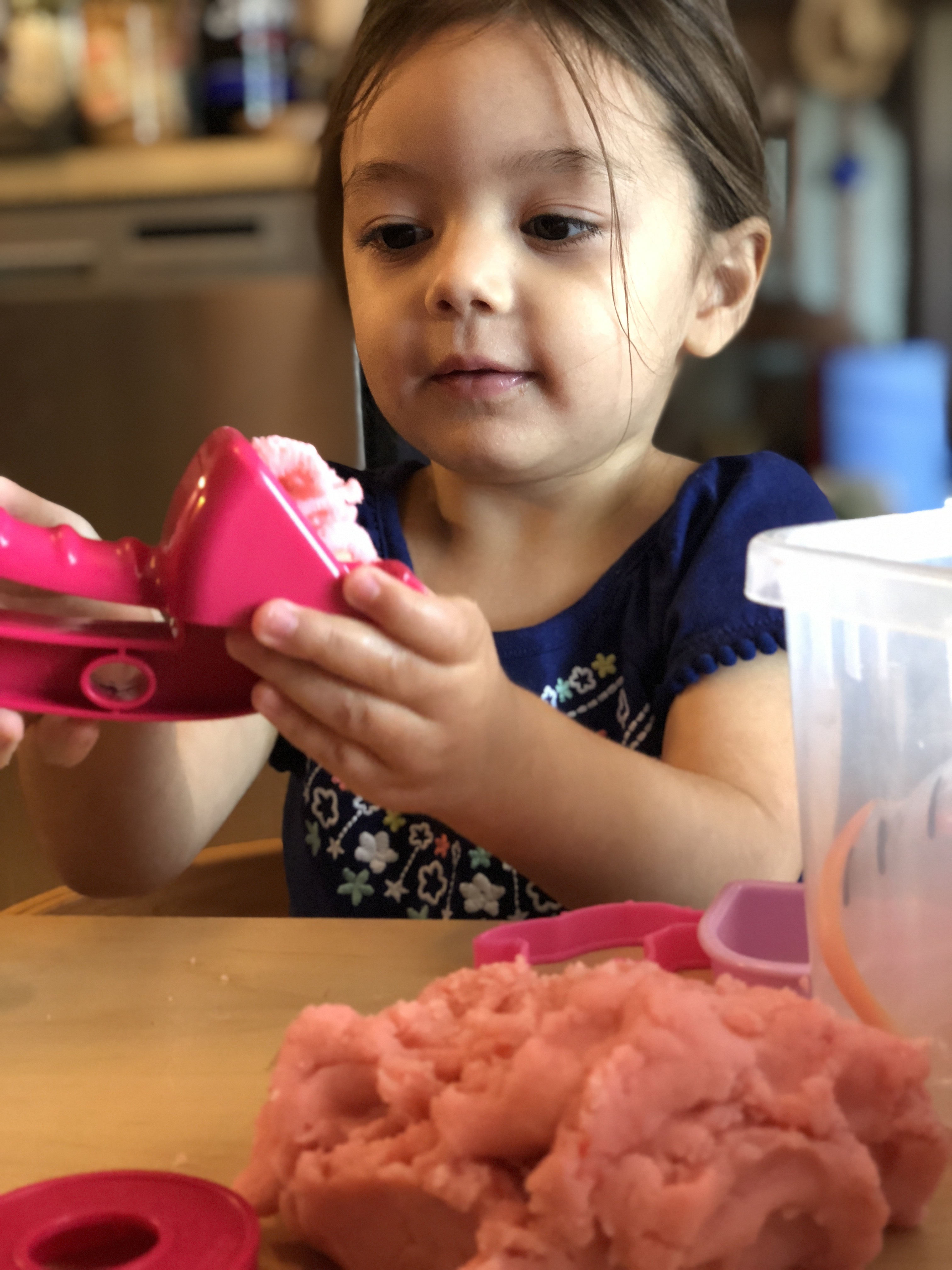 Rose's Learning Garden's Photo