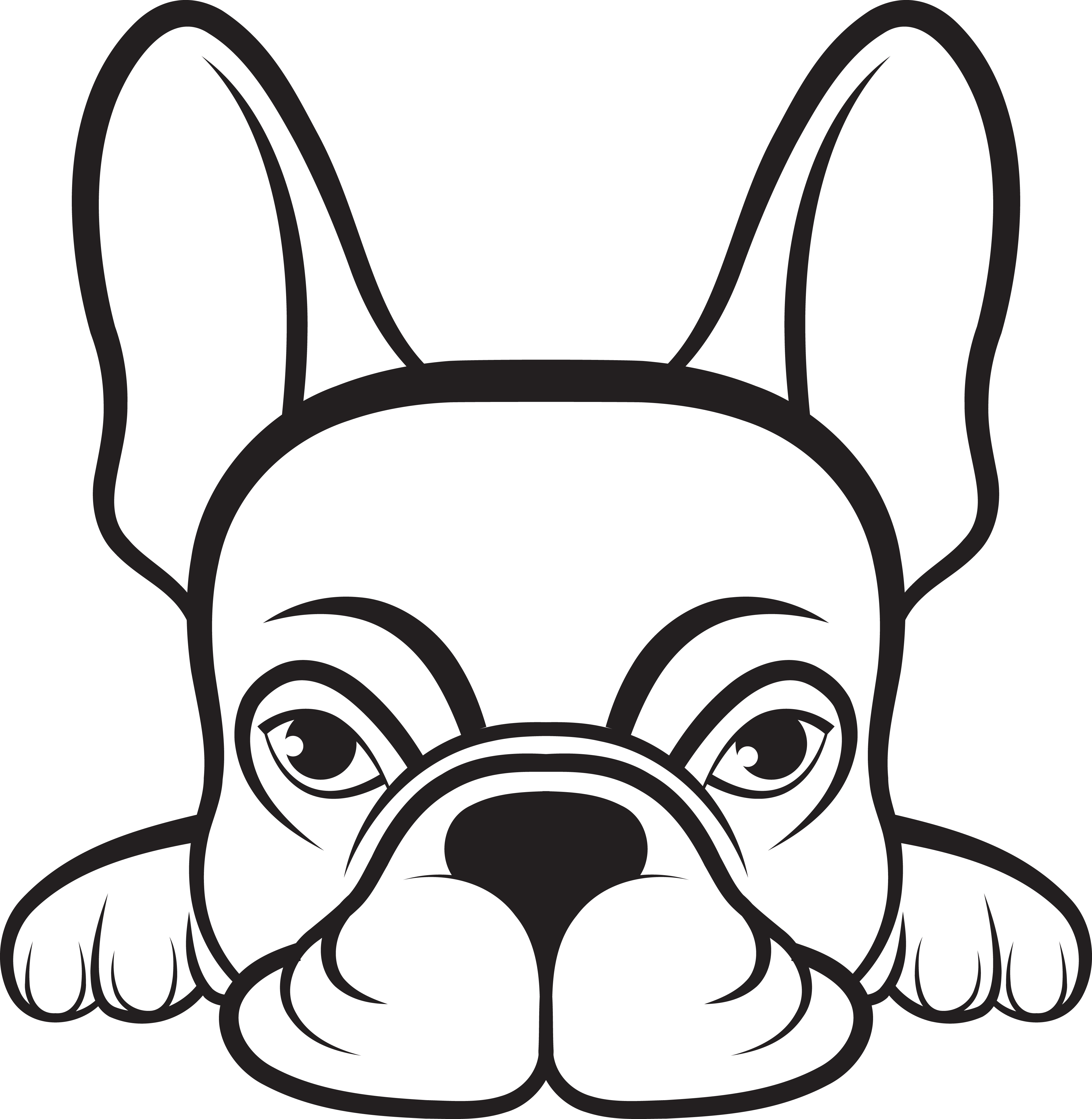 Bark Dog Walking's Photo