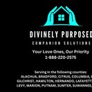 Divinely Purposed Companion Solutions, LLC