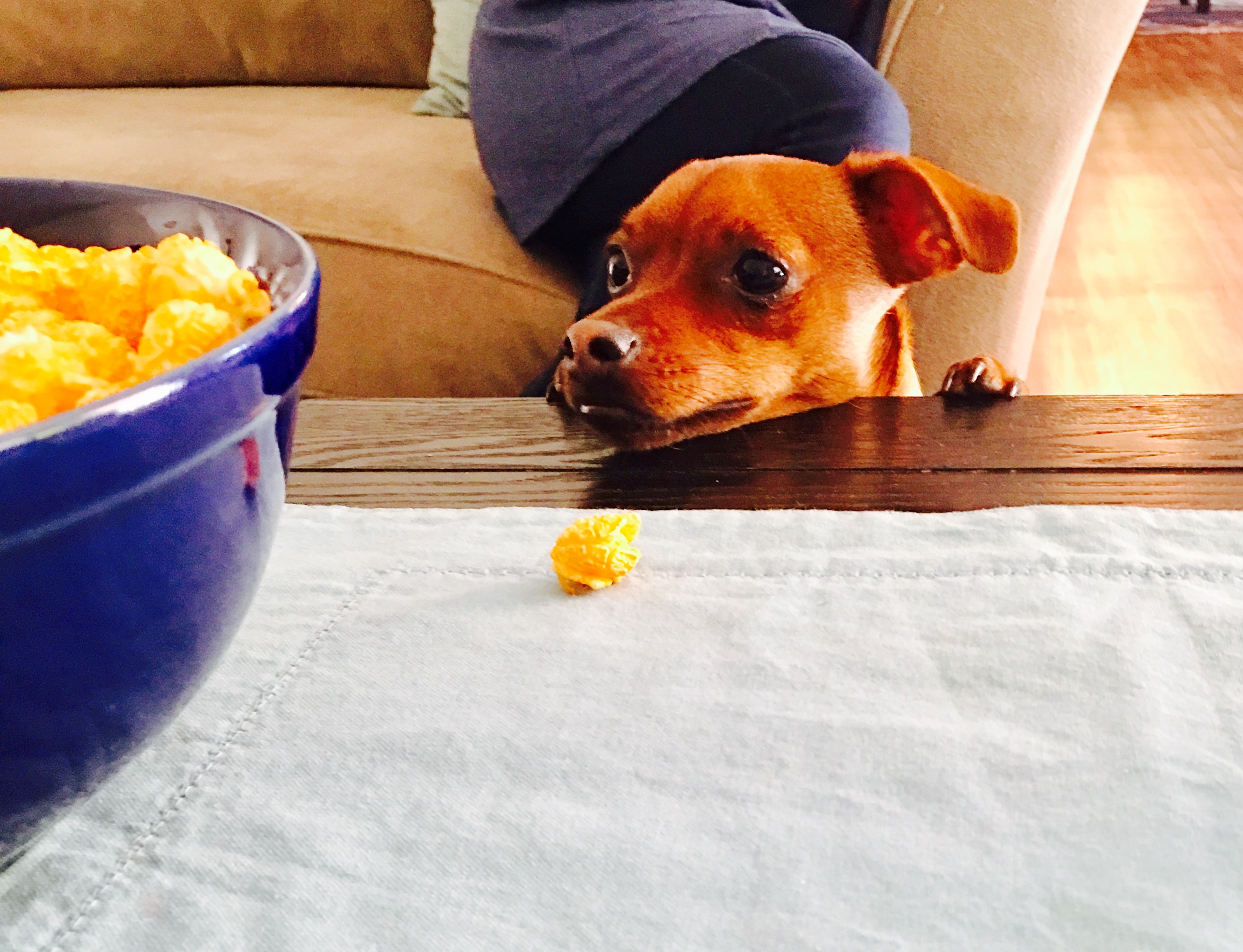 Granny's Walker's Photo