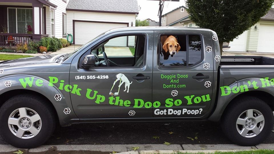 Doggie Doos and Don'ts LLC's Photo