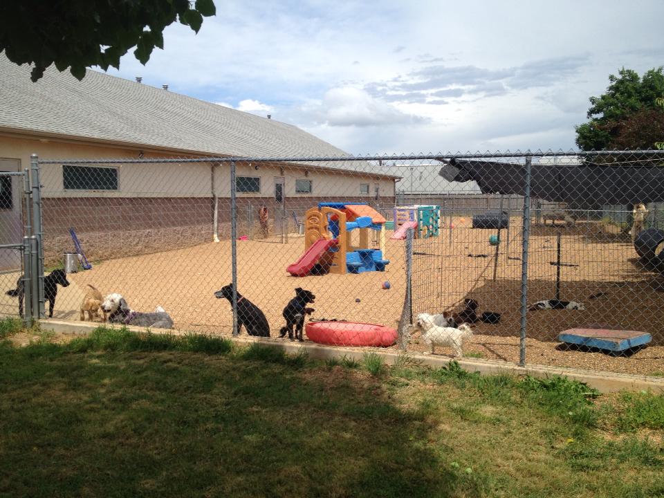 Happy Tails Doggie Daycare & Boarding's Photo