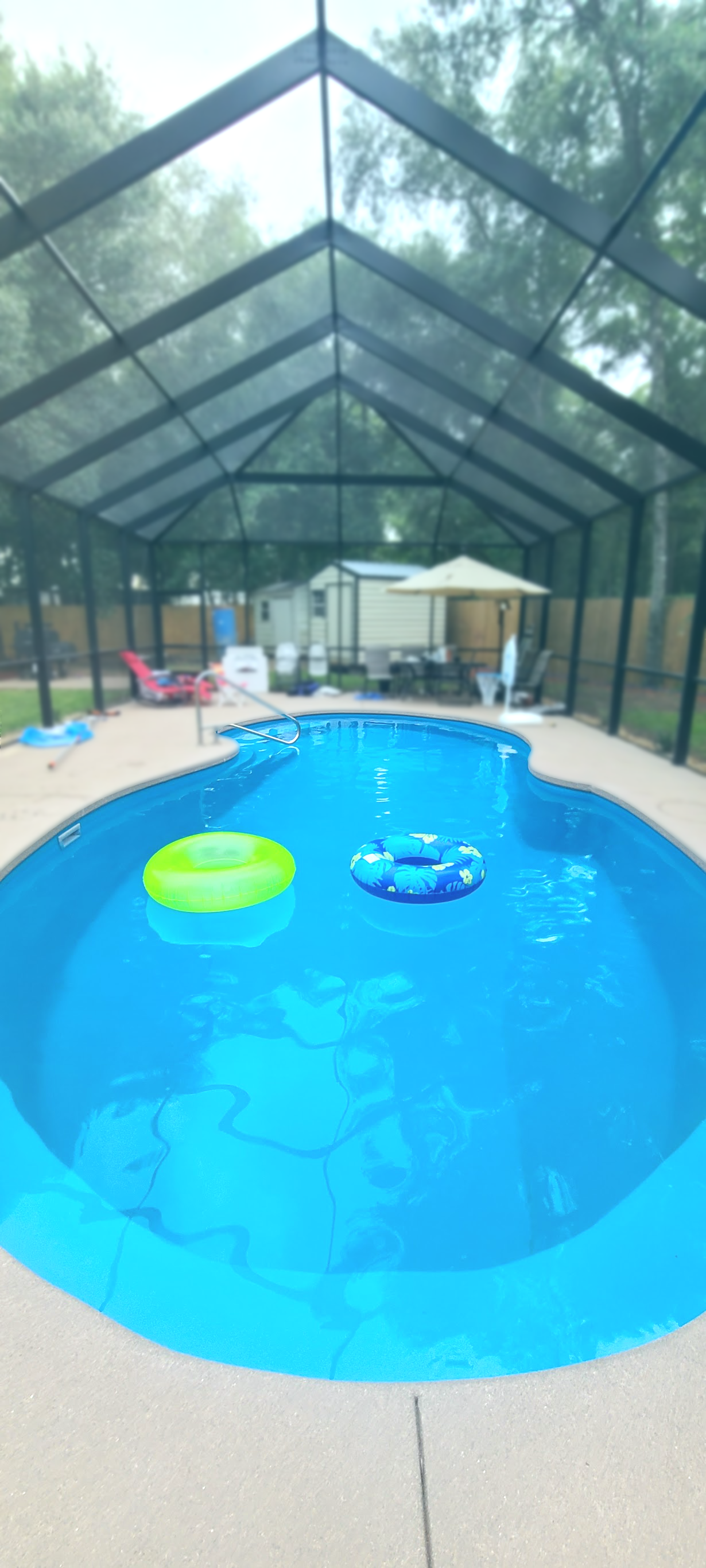 Lil Duckies Pool Co's Photo