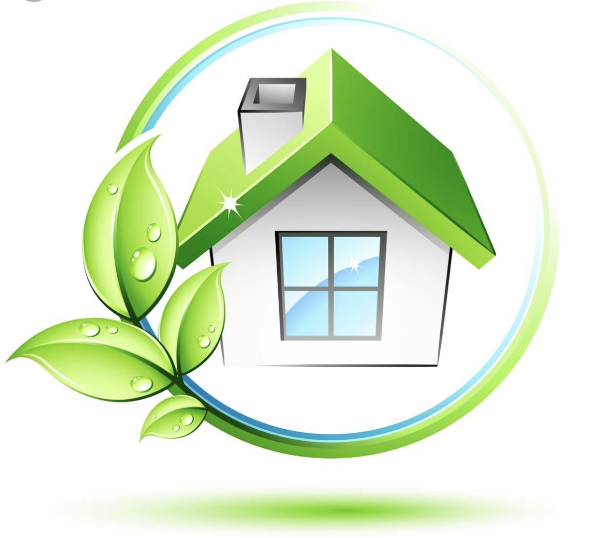 Rise 'n Shine's Photo