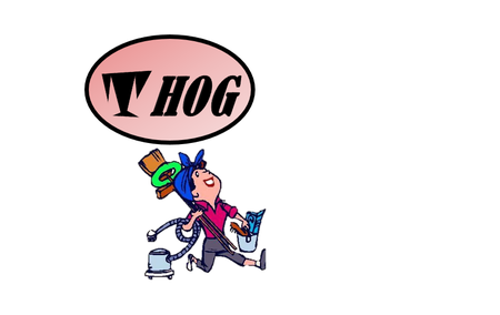 THOG Cleaning Services