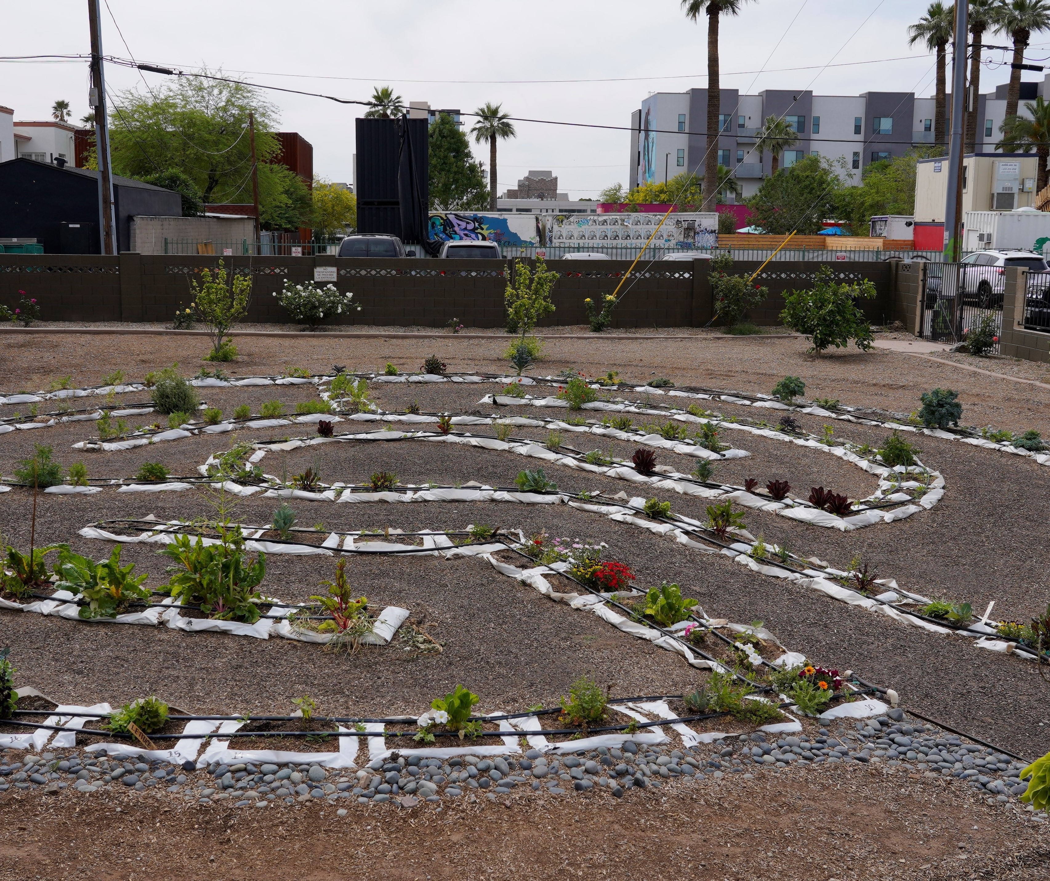 Little Lantanas Montessori's Photo