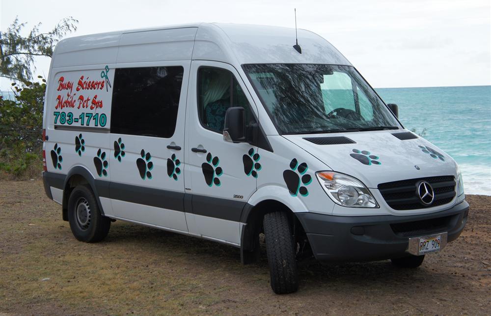 Busy Scissors Mobile Pet Spa Logo