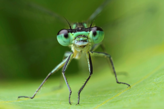 Kidsville Childcare's Photo