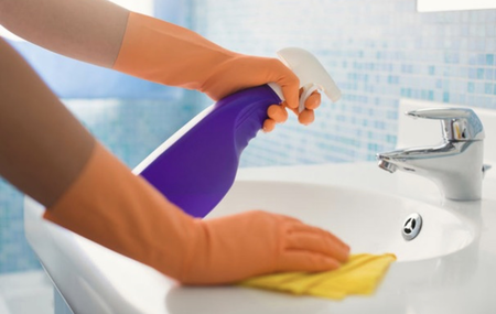 Lady Cleaning Silva's Photo