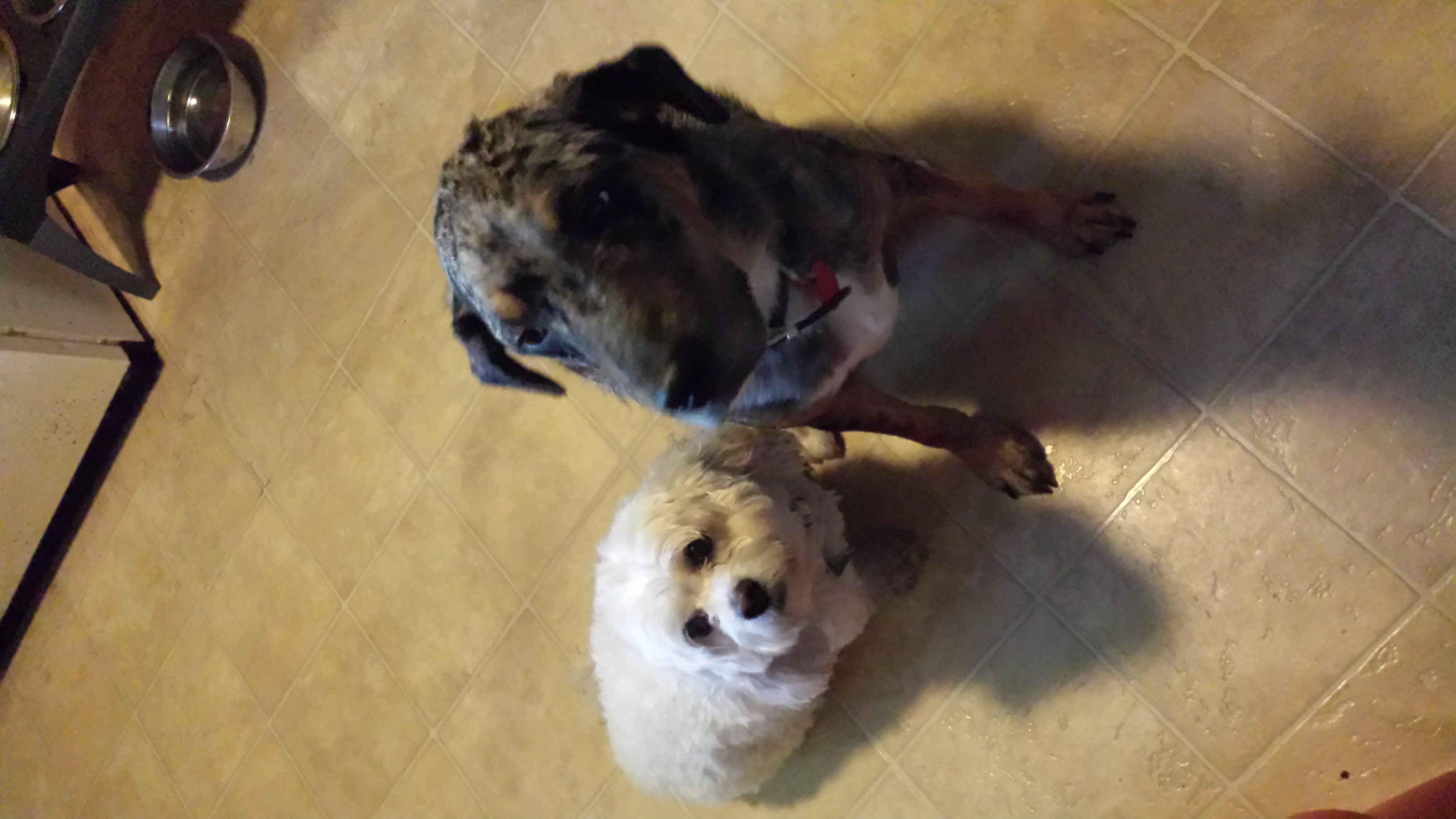 Smokey's Cafe's Photo