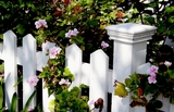 A Votre Service's Photo