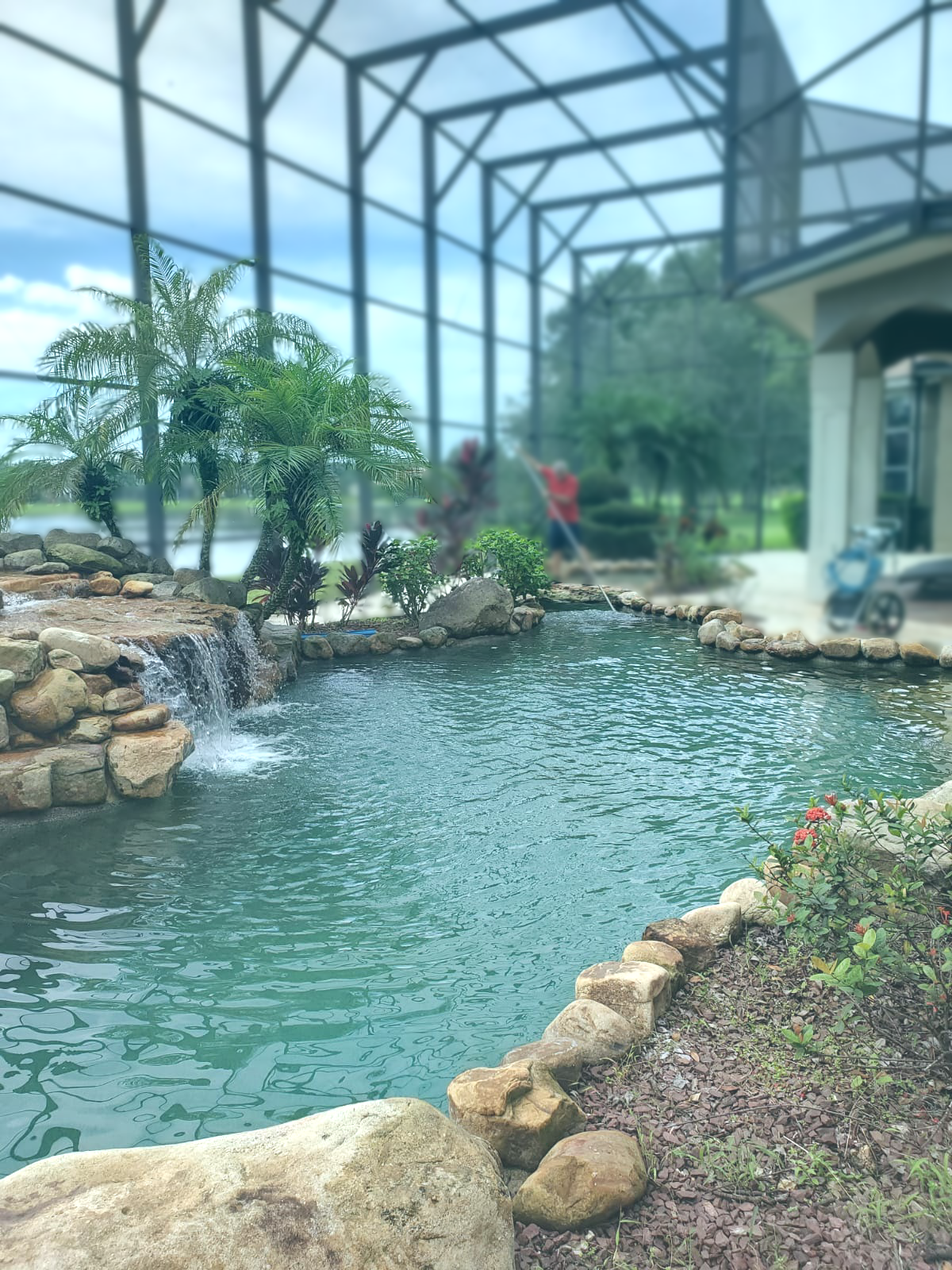 Lil Duckies Pool Co's Photo