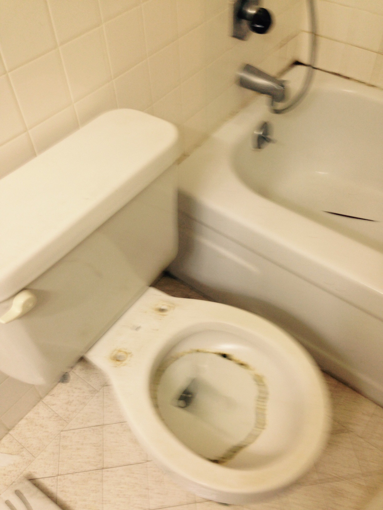 Bay Area Housekeeping's Photo