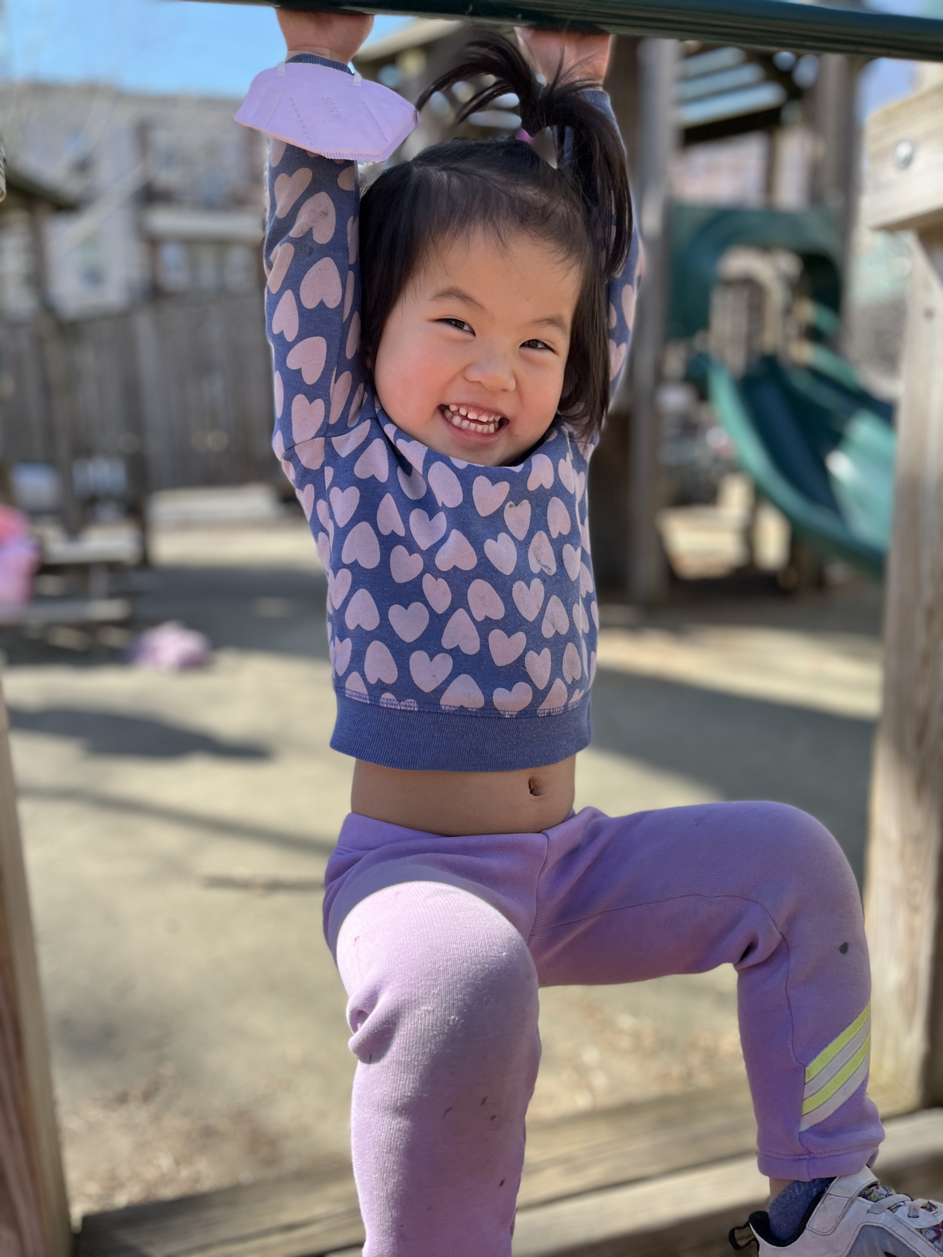 Cambridge-Ellis School's Photo