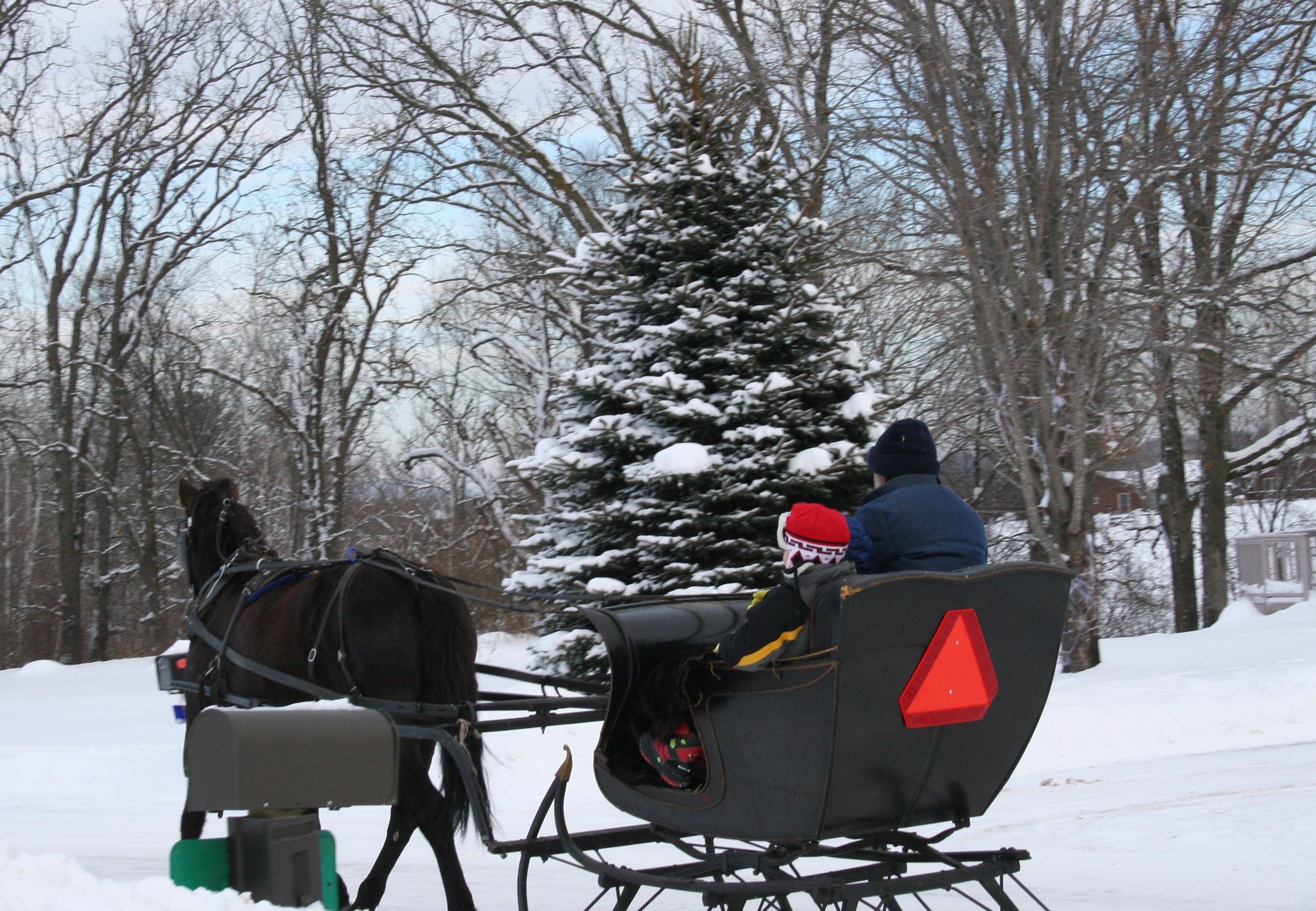 Photo gallery image - 2