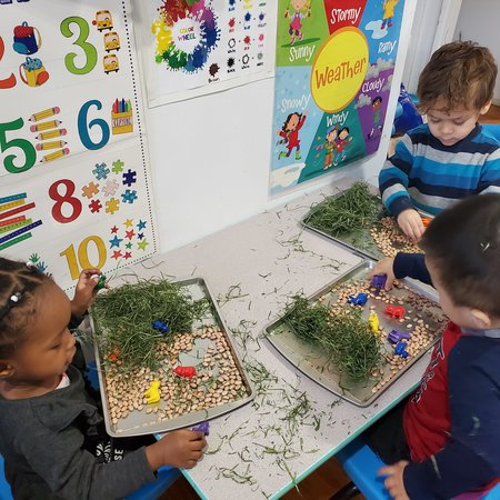 Little Tots Peekskill