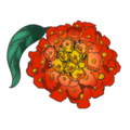 Little Lantanas Montessori