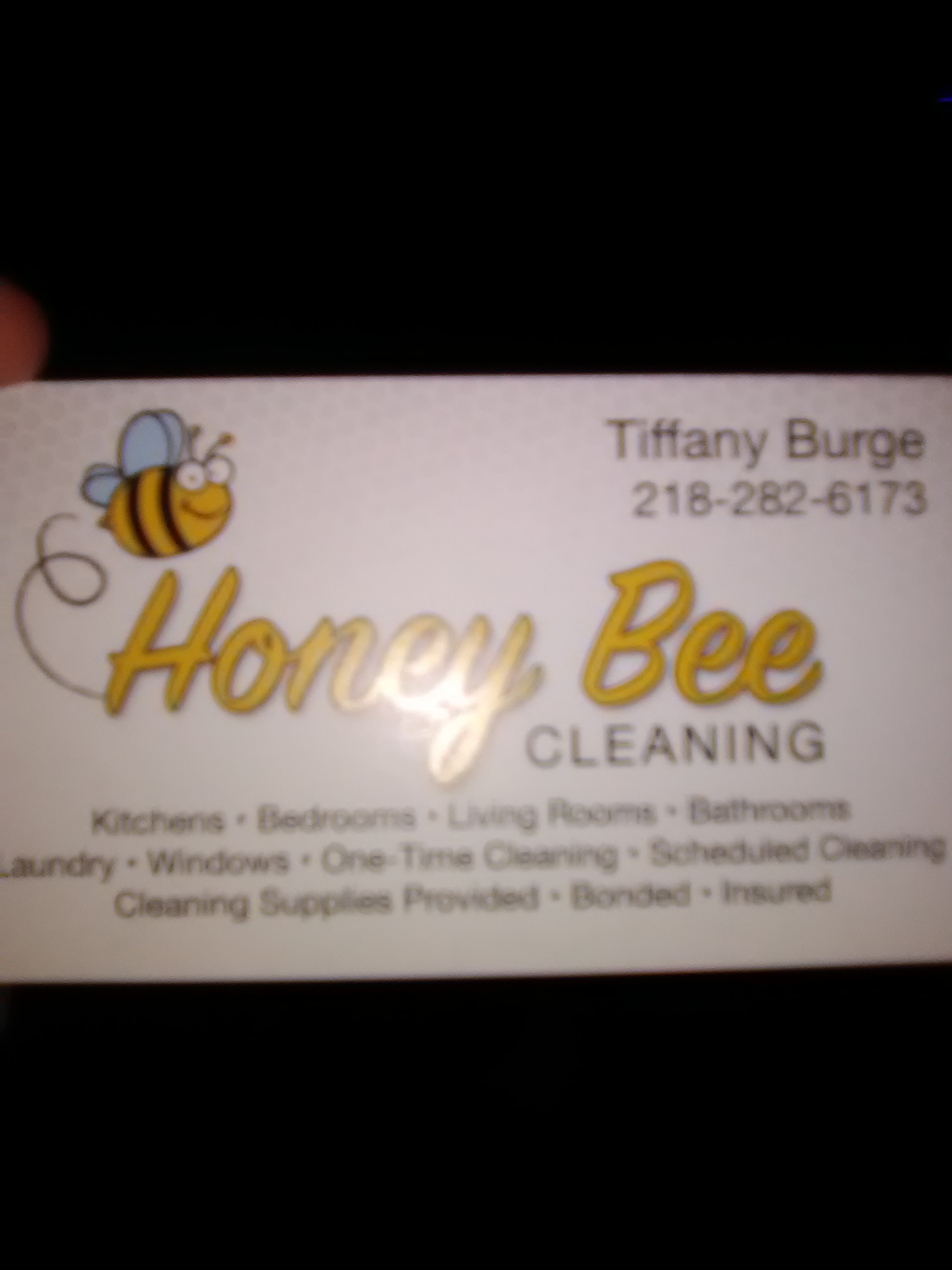 Honey Bee Cleaning Logo