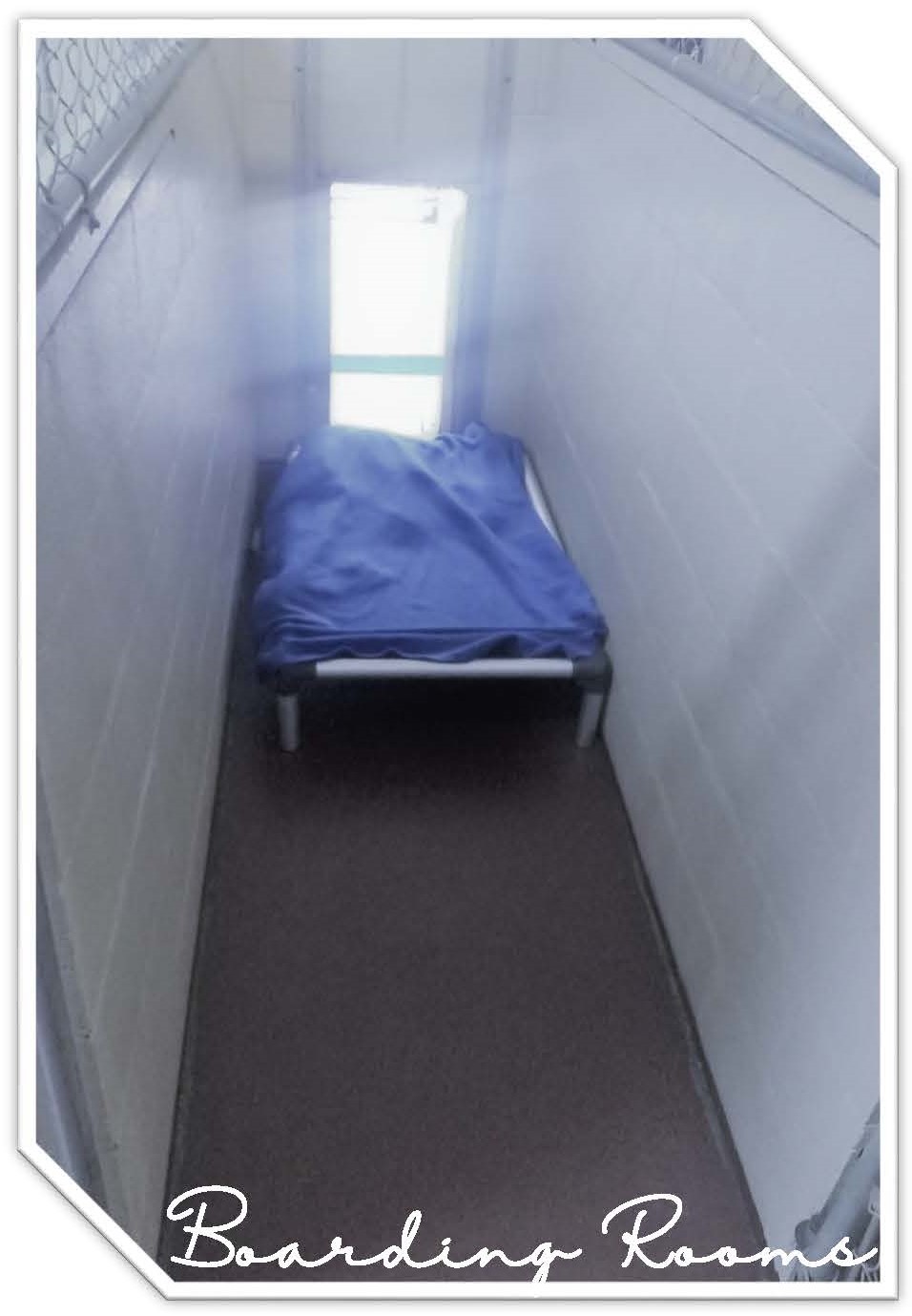 Seneca Animal Hospital's Photo