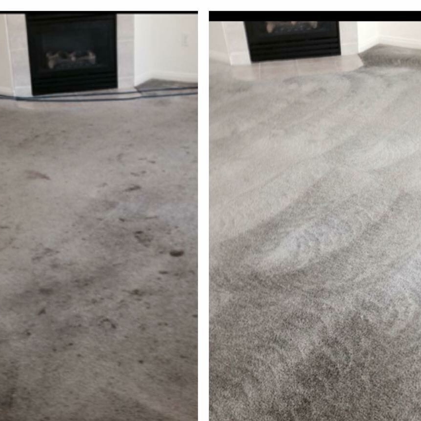 Dreamclean's Photo