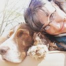 Susan's Pet Sitting LLC