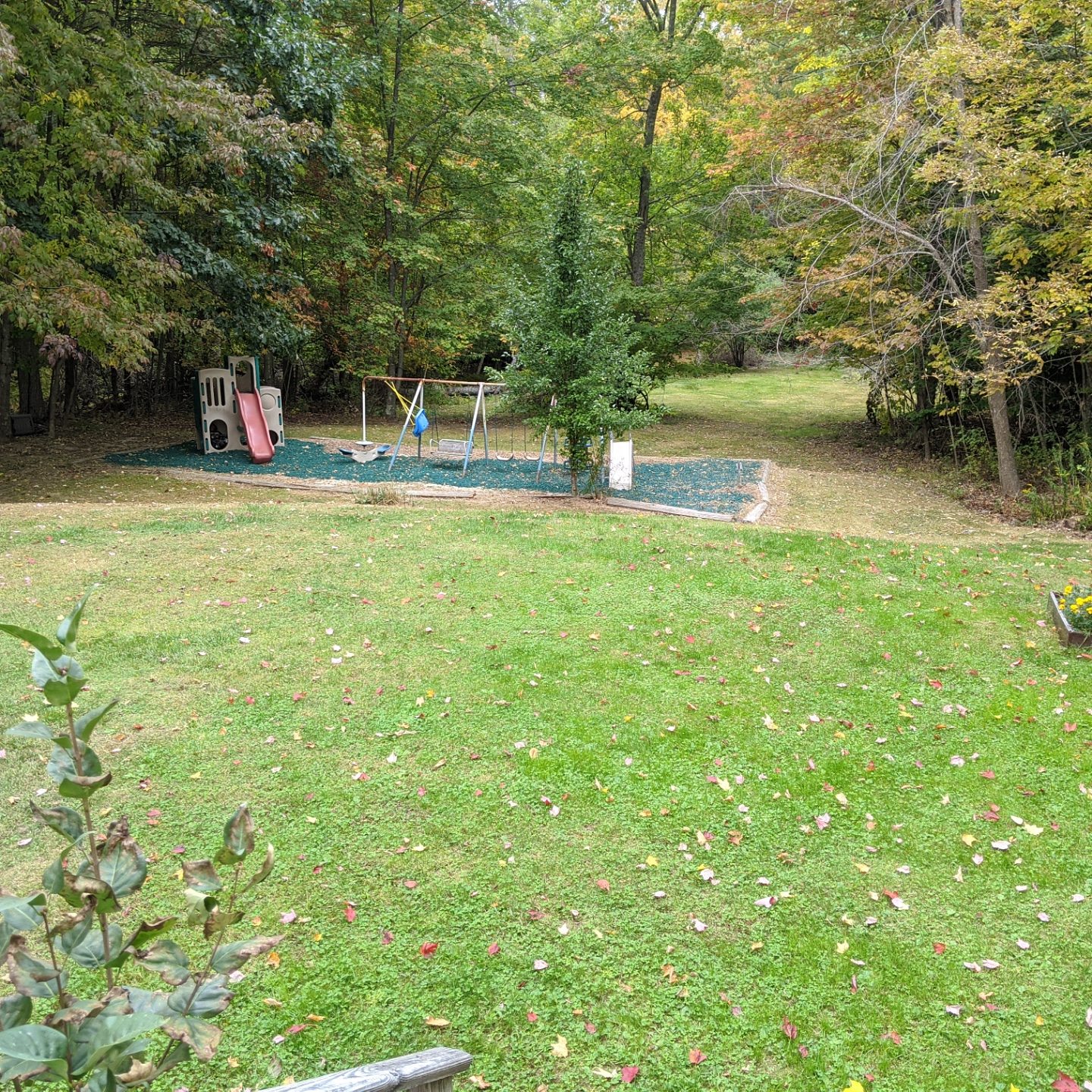 Kakalis Daycare Center's Photo