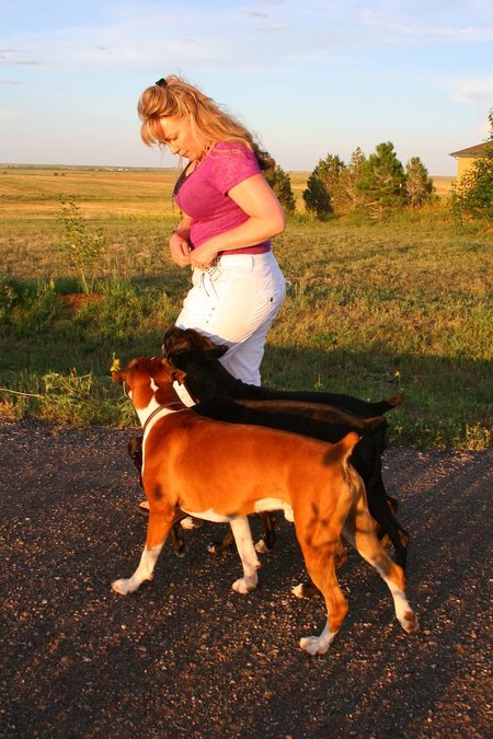 Trinity K9's Photo