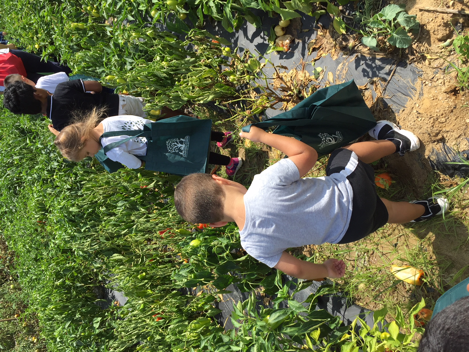 Learning Garden Academy of Montville's Photo