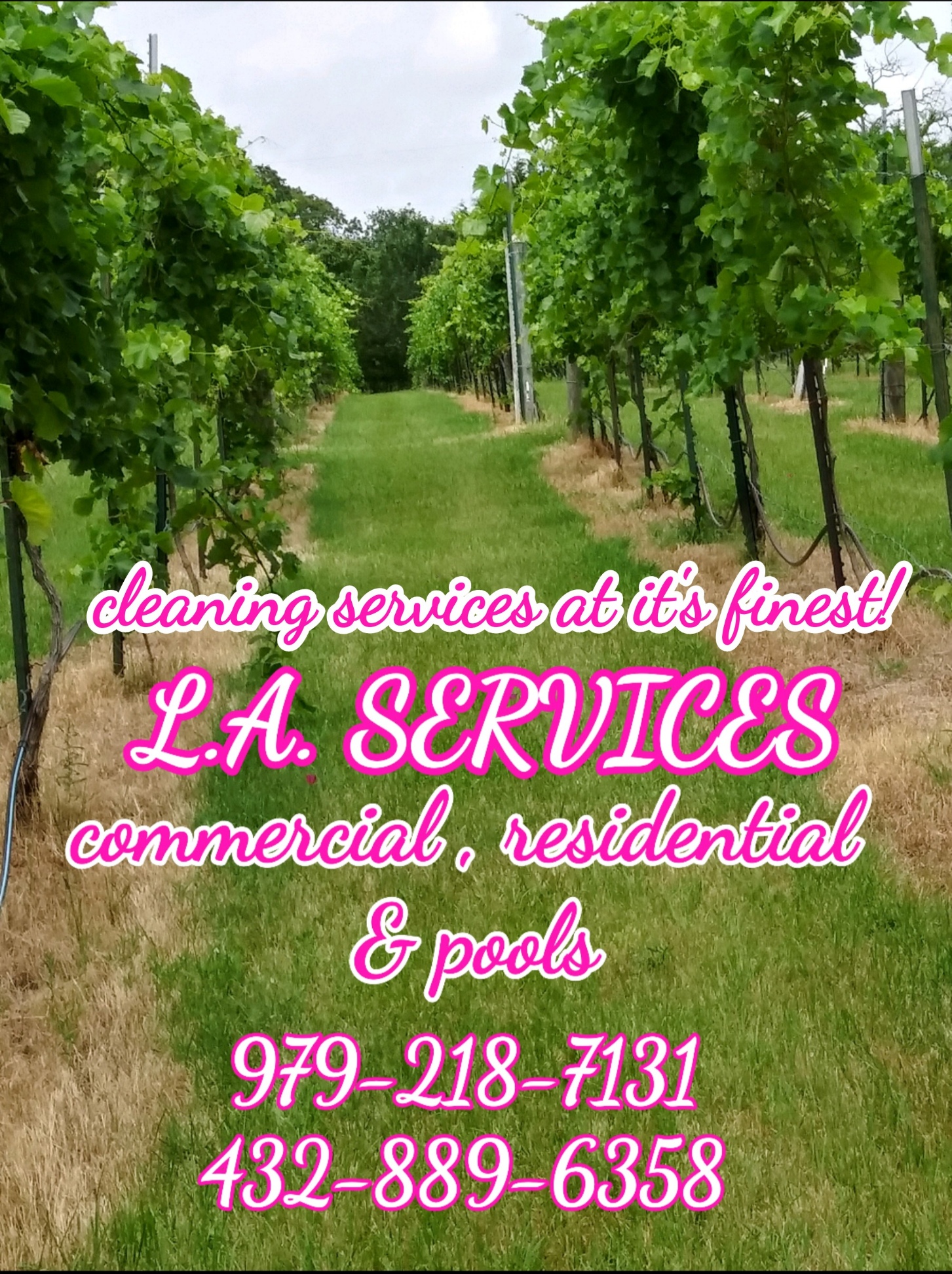 L.A.services's Photo