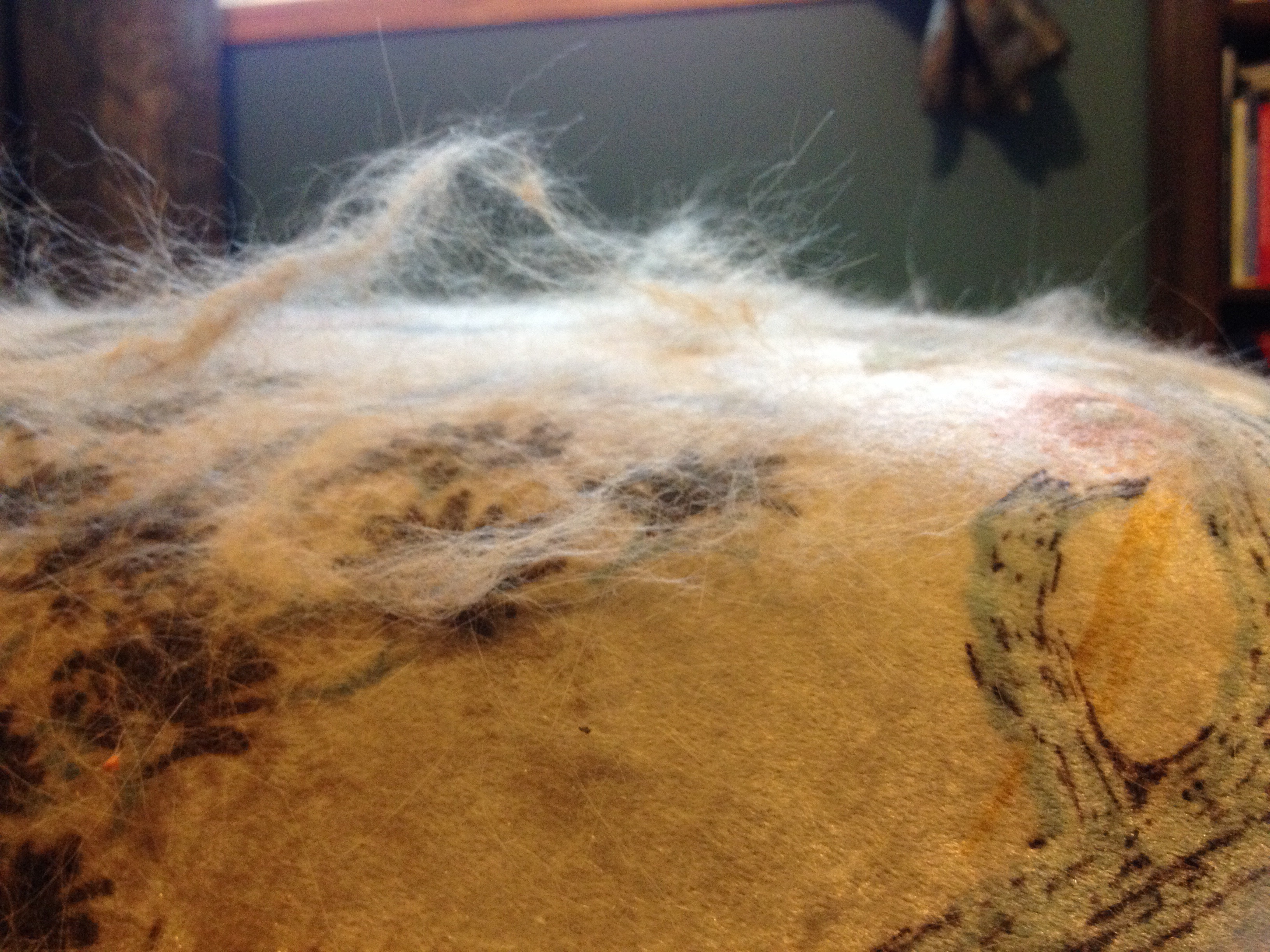 Pennie Overalls Cleaning Service's Photo