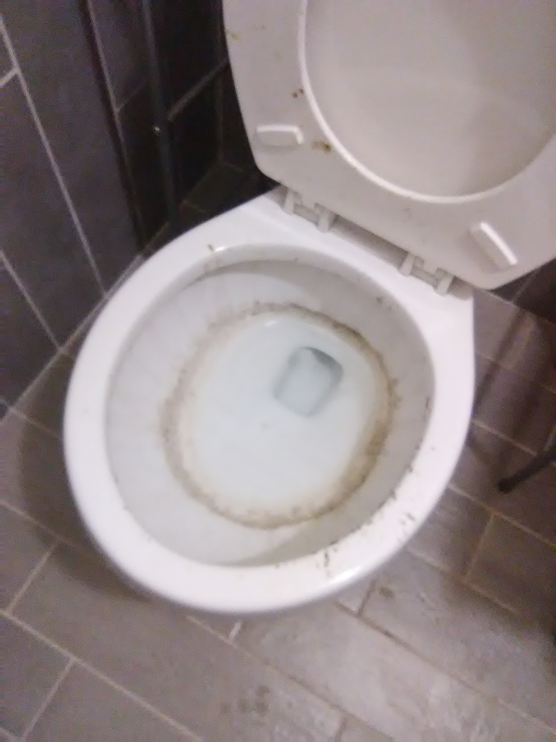 Wanda's Detailed Cleaning's Photo