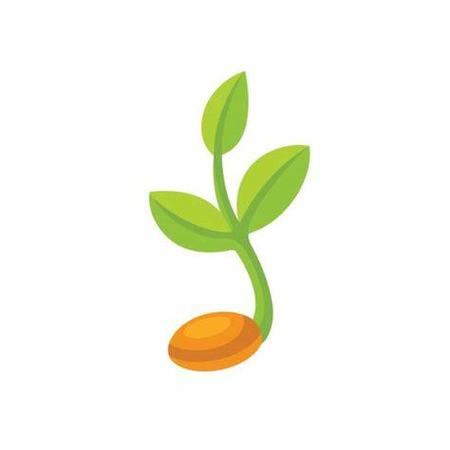 Little Sprouts Child Care