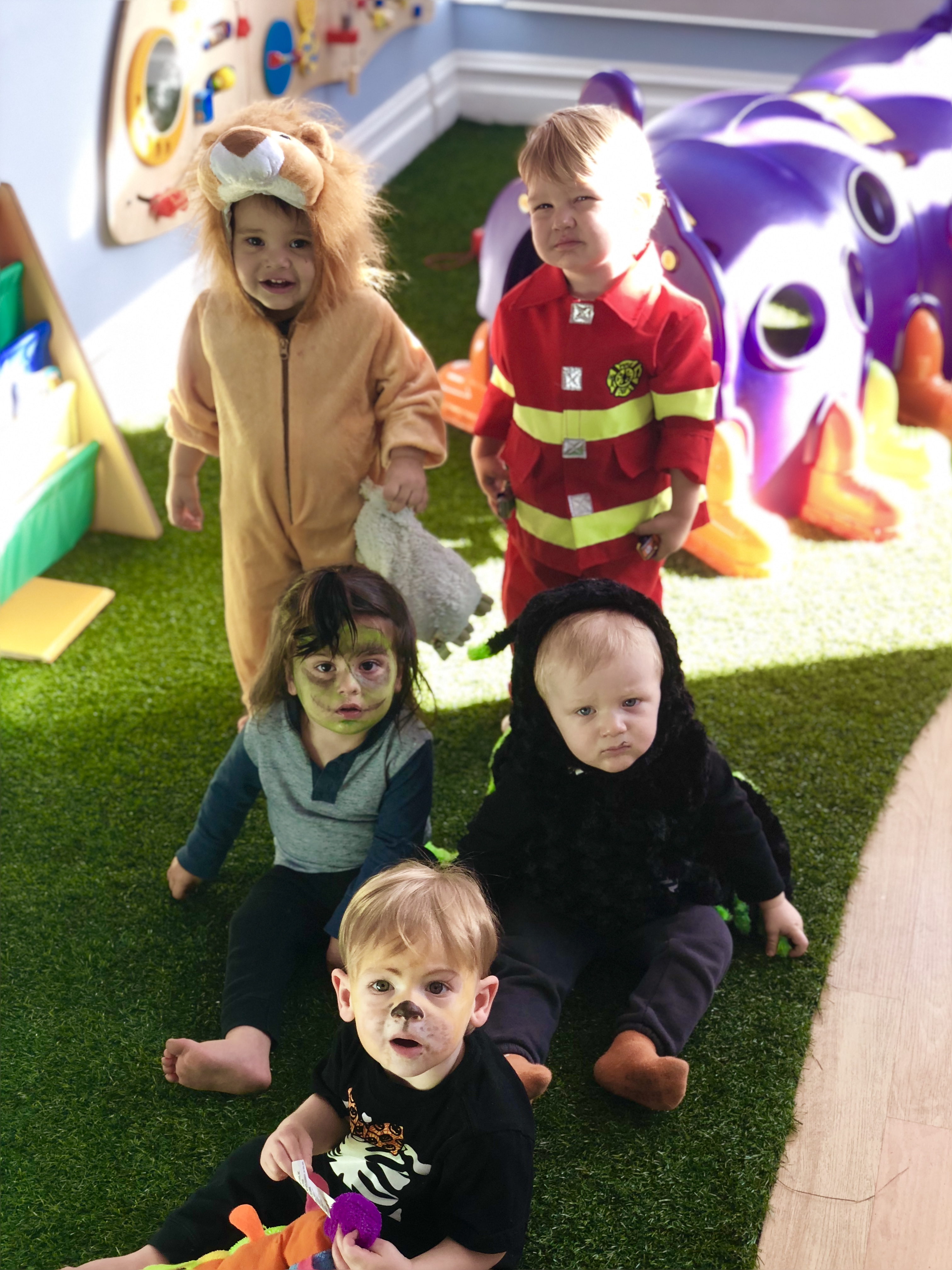 Hungry Caterpillars's Photo