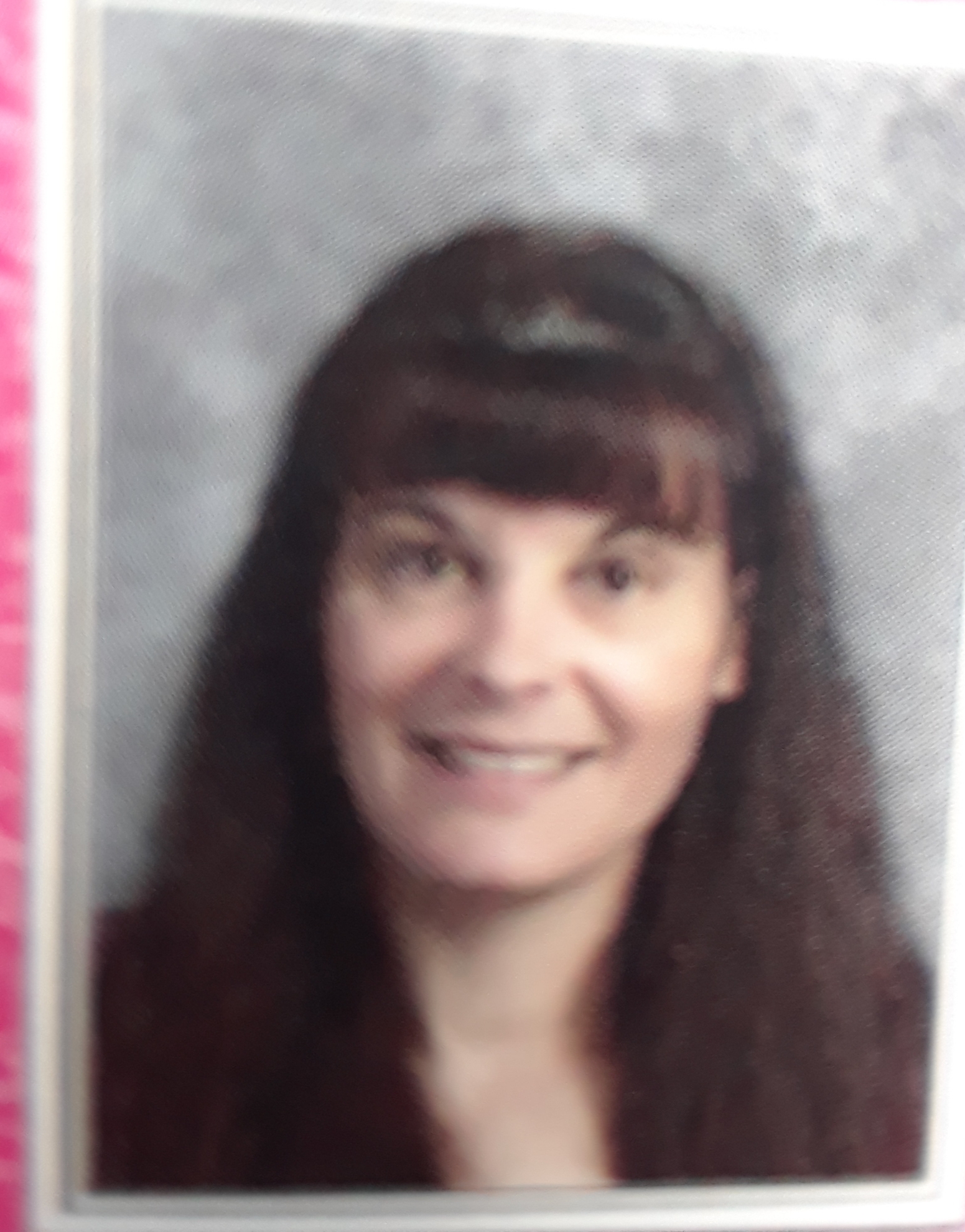 K9's Cats & Fish 2's Photo