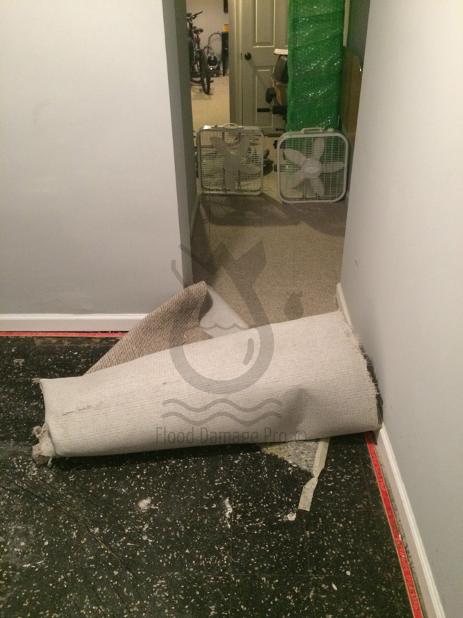 Flood Damage Pro Logo