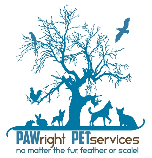 PAWright Pet Care Services LLC's Photo