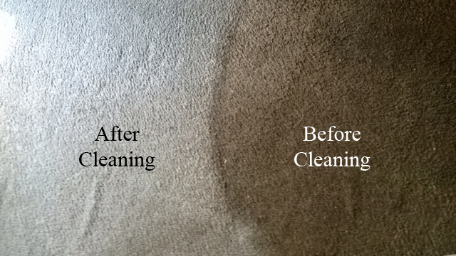 Bane-Clene Systems's Photo