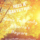 Brandy & Sierra's Daycare