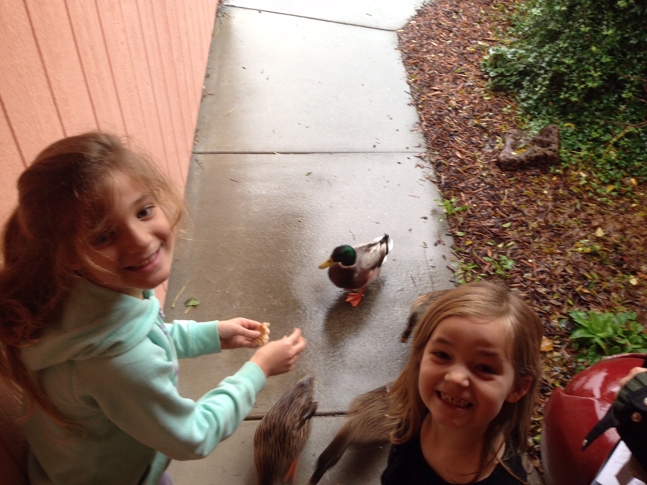 Burruss Family Child Care's Photo