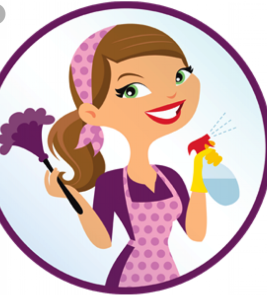 Erica's Cleaning Company's Photo
