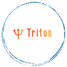 Triton Support Services