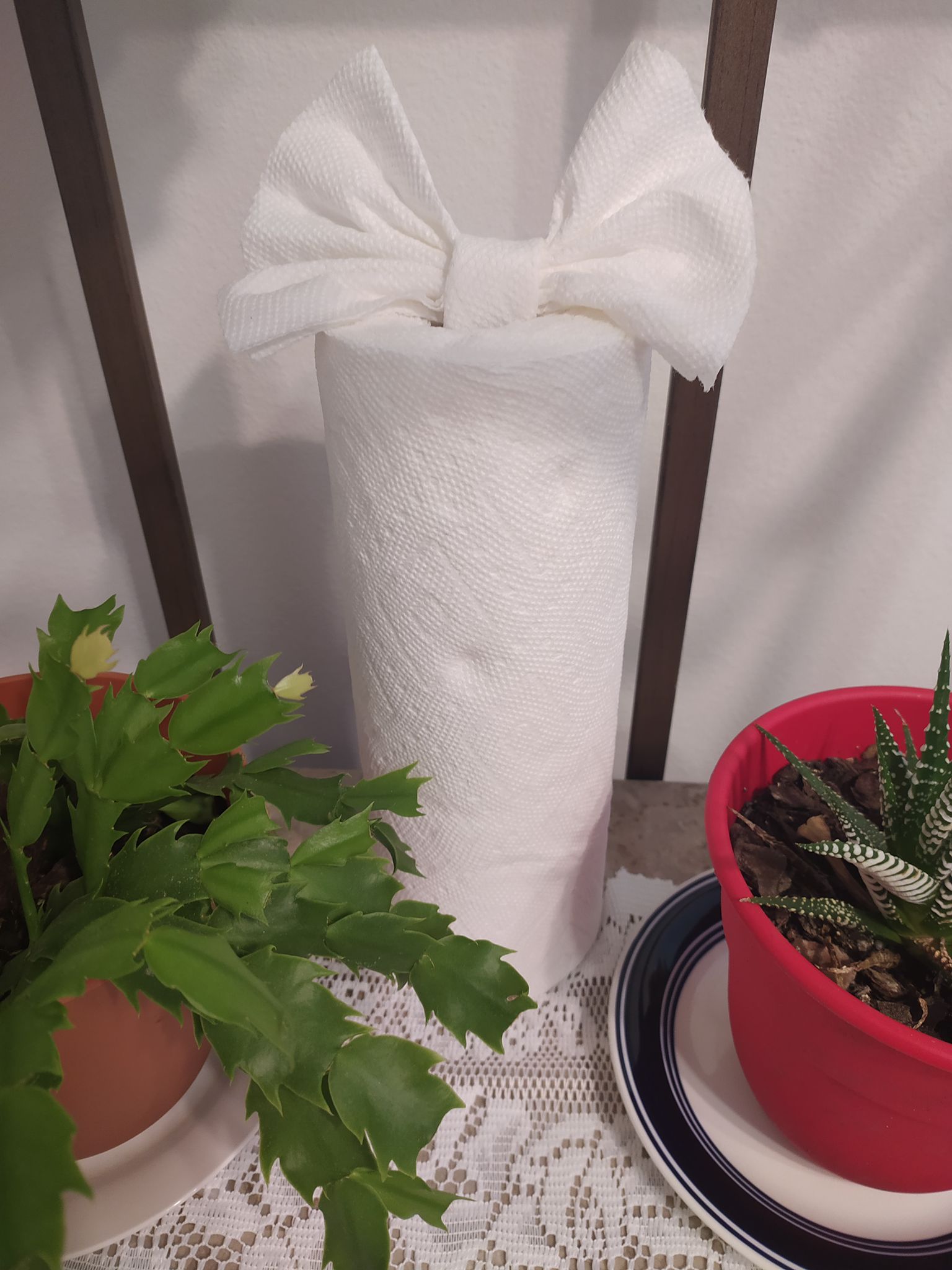 Bella's professional cleaning's Photo